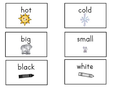 Antonym Examples